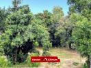 Annonce Vente Terrain Saint-louis