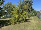 Acheter Maison 99 m2 Cambrai