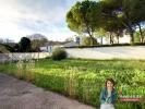 House MONTPELLIER 