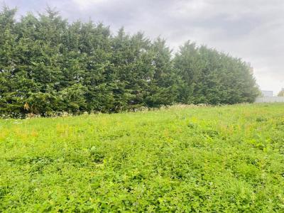photo For sale Land FAVIERES 28