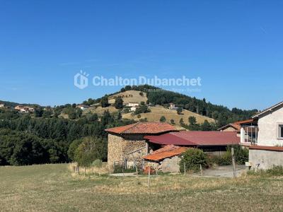 Vente Maison SAINTE-COLOMBE-SUR-GAND 