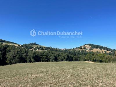 For sale House SAINTE-COLOMBE-SUR-GAND 