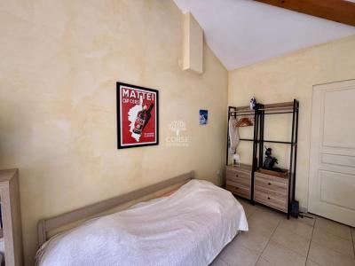 Location Appartement SAINTE-LUCIE-DE-PORTO-VECCHIO 20144