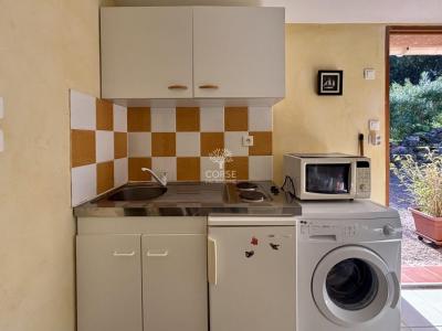 Location Appartement SAINTE-LUCIE-DE-PORTO-VECCHIO 