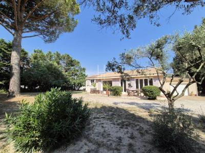 photo For sale House SAINT-ETIENNE-DU-GRES 13