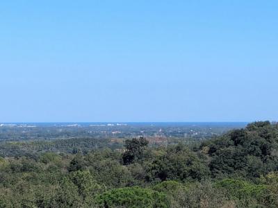 Vente Maison 7 pièces MONTESQUIEU-DES-ALBERES 66740