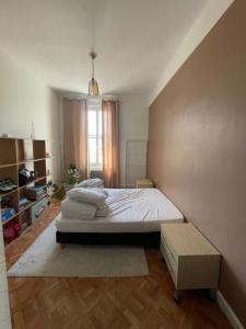 Location Appartement 2 pièces LYON-1ER-ARRONDISSEMENT 69001