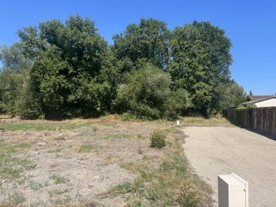 photo For sale Land BRACH 33