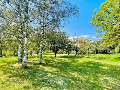 For sale Prestigious house BELCASTEL  81