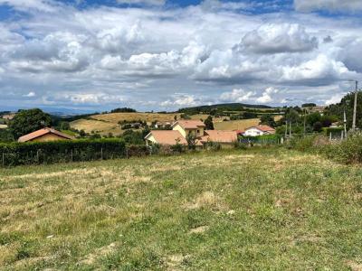 Vente Terrain VIOLAY 42780