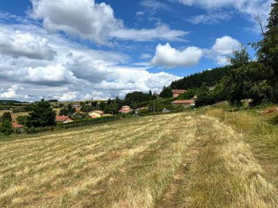 Vente Terrain VIOLAY 42780