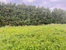 Land FAVIERES 
