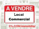 Vente Local commercial Hochfelden 67