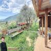 Annonce Viager 2 pices Maison Utelle