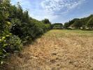 Acheter Terrain 6755 m2 Coquille