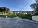 Land BORMES-LES-MIMOSAS 