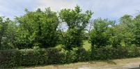 Vente Terrain Canejan 33