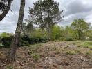 Annonce Vente Terrain 