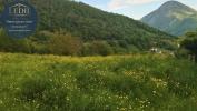 Acheter Terrain Bilheres Pyrenees atlantiques