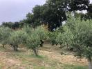 Annonce Vente Terrain Saze