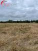 Vente Terrain Saint-christoly-de-blaye 33