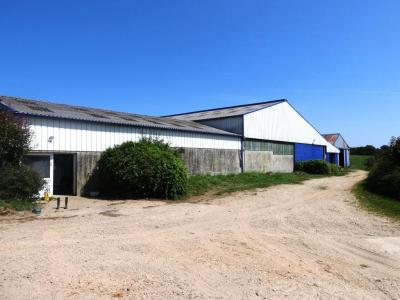 photo For sale Agricultural domain SAINT 56