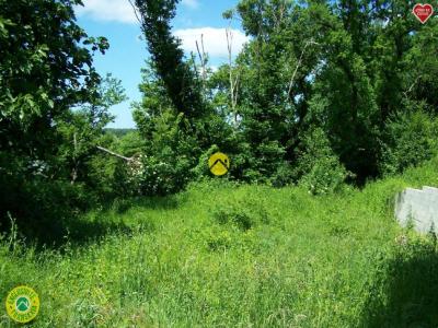 Vente Maison SAINT-FLORENT-SUR-CHER 