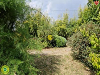 For sale House SANCOINS