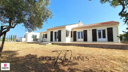 Vente Maison 8 pièces PEYRIAC-MINERVOIS 11160