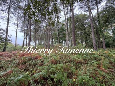 Vente Terrain ESCALANS  40