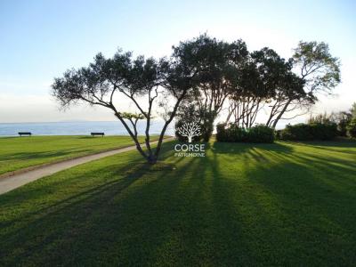 For sale House CERVIONE 