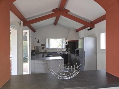 Vente Maison CERVIONE 