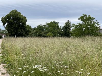 photo For sale Land GAILLAN-EN-MEDOC 33
