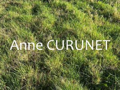Vente Terrain LOCQUELTAS 56390