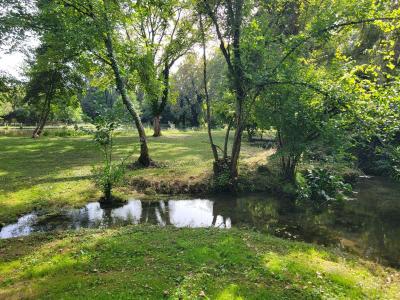 Vente Maison 10 pièces LUSSAC-LES-CHATEAUX 86320