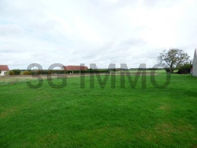 Vente Terrain FAYE 41100