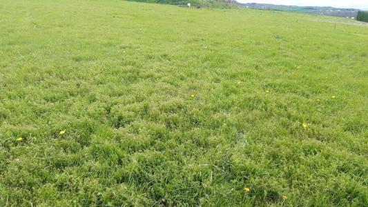Vente Terrain CHOUVIGNY 03450