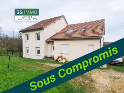 Vente Maison 15 pièces DELME 57590