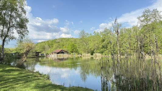 Vente Terrain SAINT-VICTOR-DE-MORESTEL  38