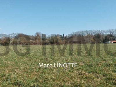 photo For sale Land TARTAS 40