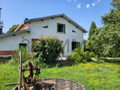 photo For sale House NAVES 81