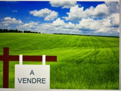 Vente Terrain SUNDHOUSE  67