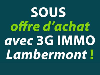 Vente Maison 10 pièces MONT-SAINT-MARTIN 54350