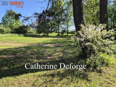 Vente Terrain PRIGNAC-ET-MARCAMPS 33710