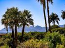 Acheter Appartement Cannes Alpes Maritimes