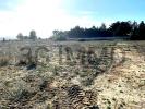 Annonce Vente Terrain Lespignan