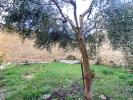 Acheter Maison Pignan Herault