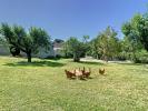 Acheter Maison Poussan Herault