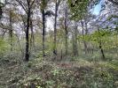 Annonce Vente Terrain Barbaste