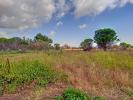 Vente Terrain Palau-del-vidre 66